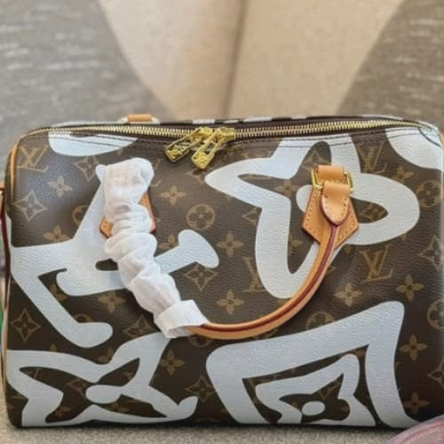 LV Monogram Graphic Speedy 30