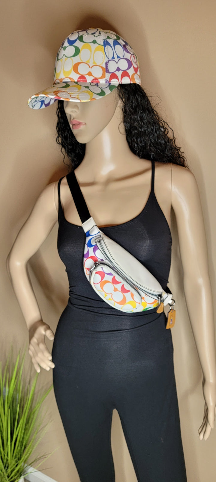 Rainbow Signature Canvas Belt Bag with leather accents