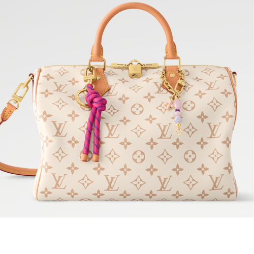 LV Duffel Bag-30